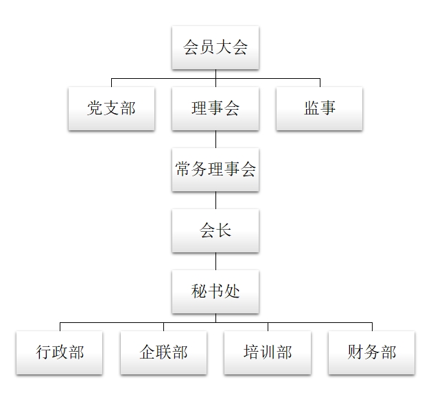 组织架构图.jpg